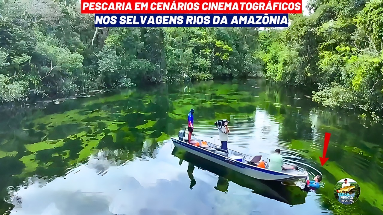 PESCARIA EM UMA AMAZÔNIA DE CENÁRIOS INCRÍVEIS COM MUITA VIDA E PAISAGENS SELVAGENS