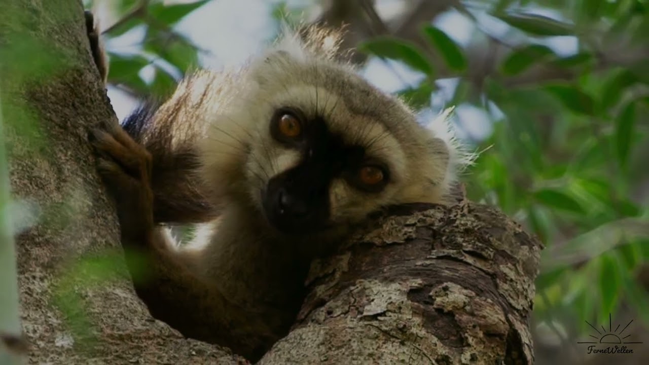 Madagaskar 2024 - Part 2 - von Andapa nach Diego Suarez