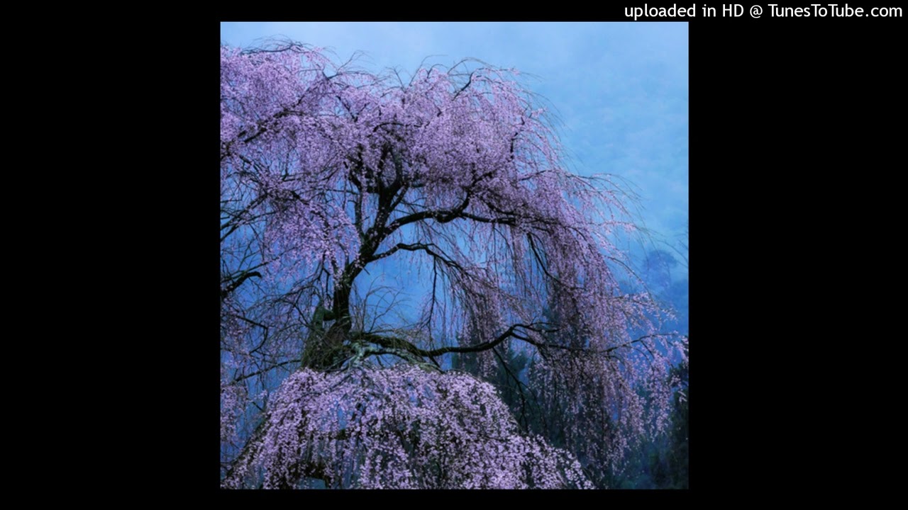 *sold* lawsy + sample + 90s rnb + pluggnb type beat