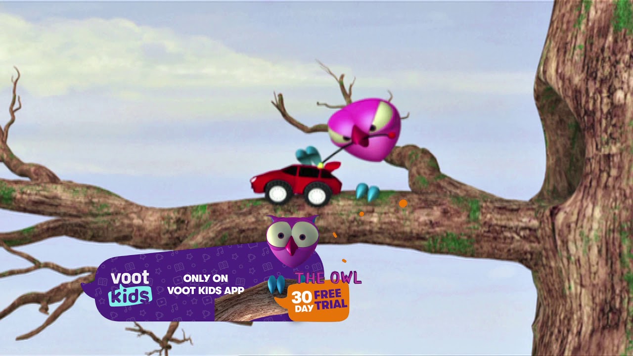 The Owl Tv
