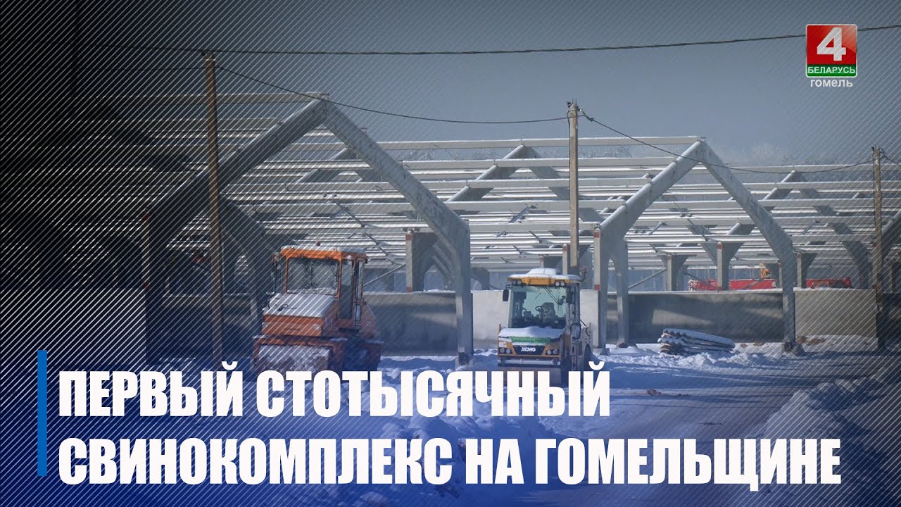 Строительство свинокомплекса на сто тысяч голов продолжается в Гомельском районе