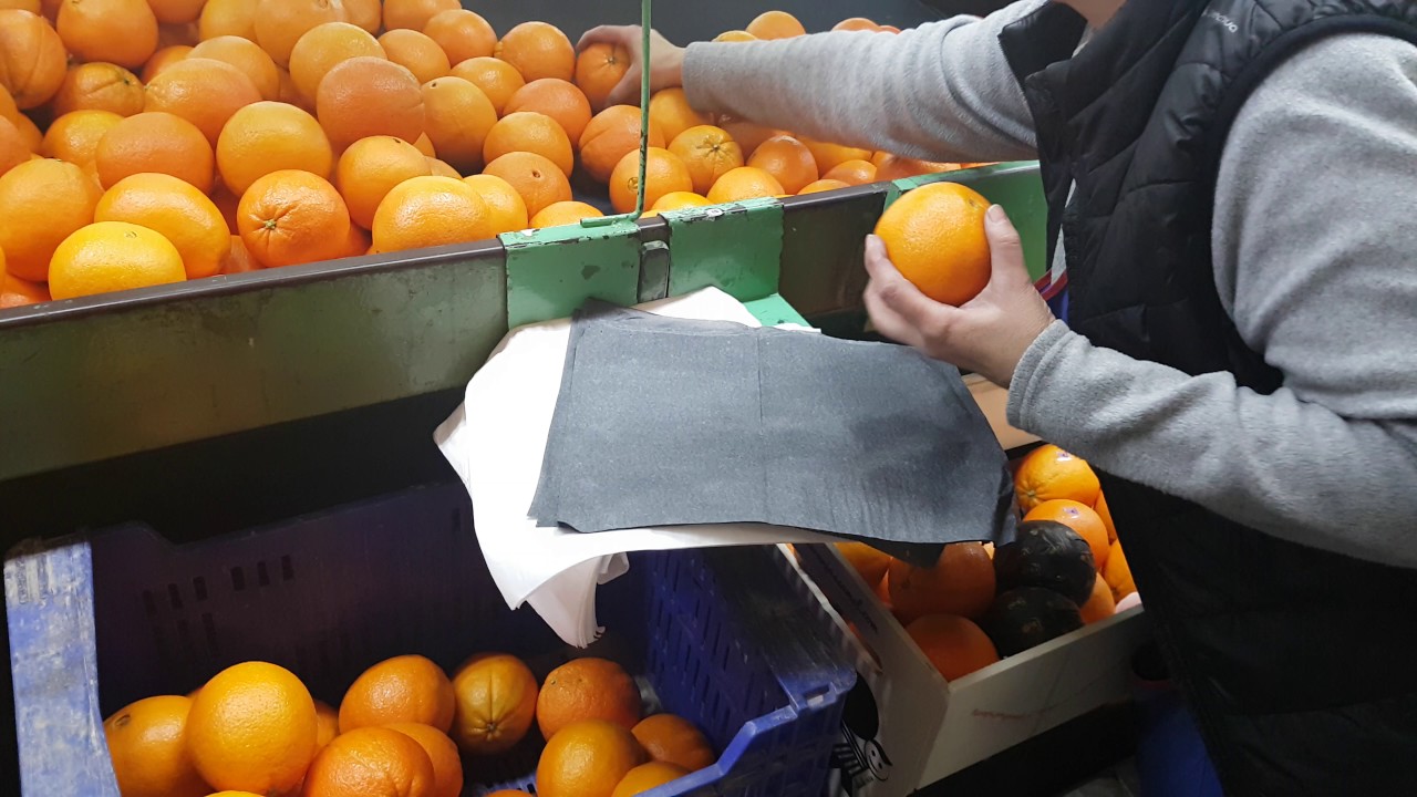 Naranjas Samel