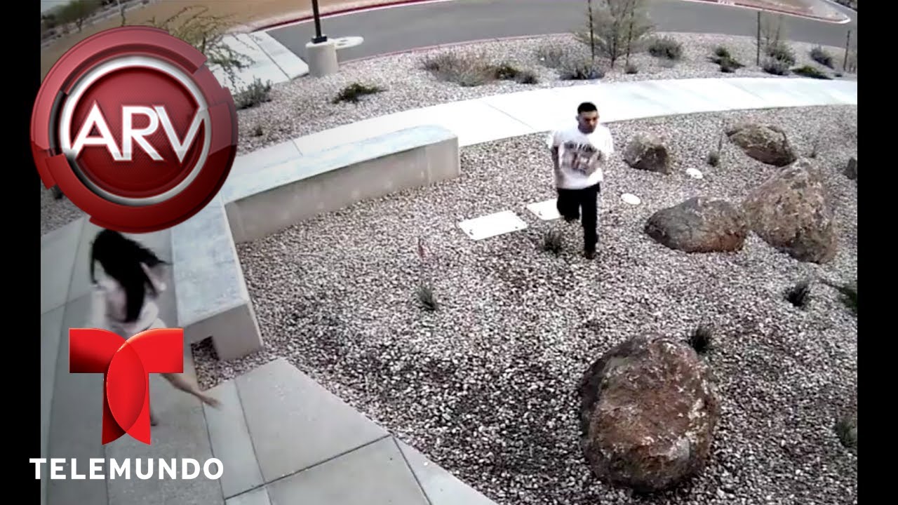 &iquest;Ser&aacute;n los ladrones m&aacute;s torpes del mundo? | Al Rojo Vivo | Telemundo