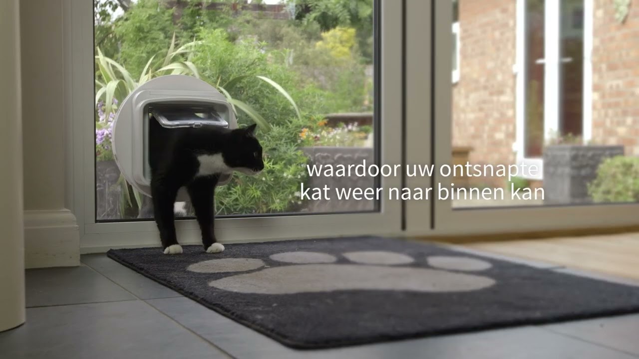 DualScan Microchip Kattenluik