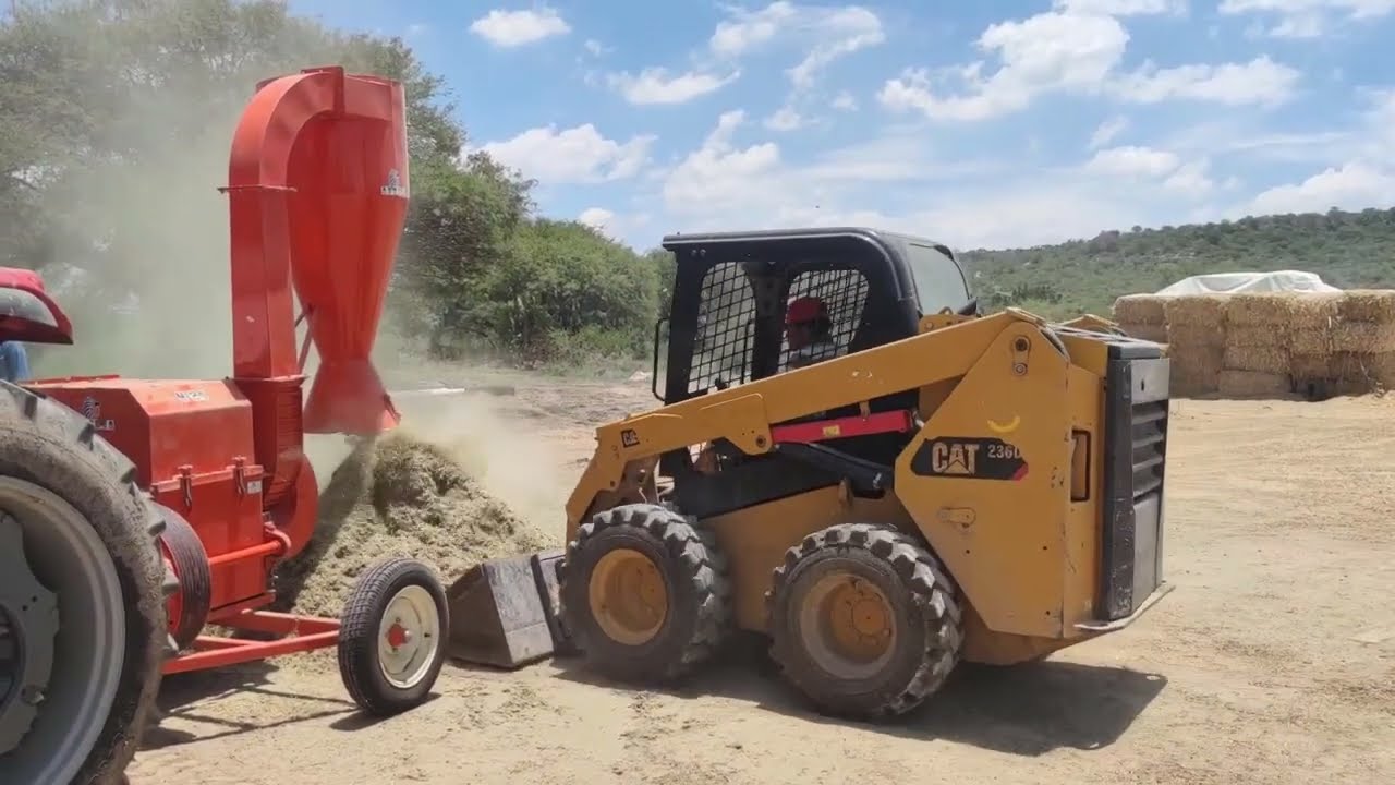 Moliendo forraje, con molino AZTECA #24 de toma de fuerza. (sin tolva alimentadora)