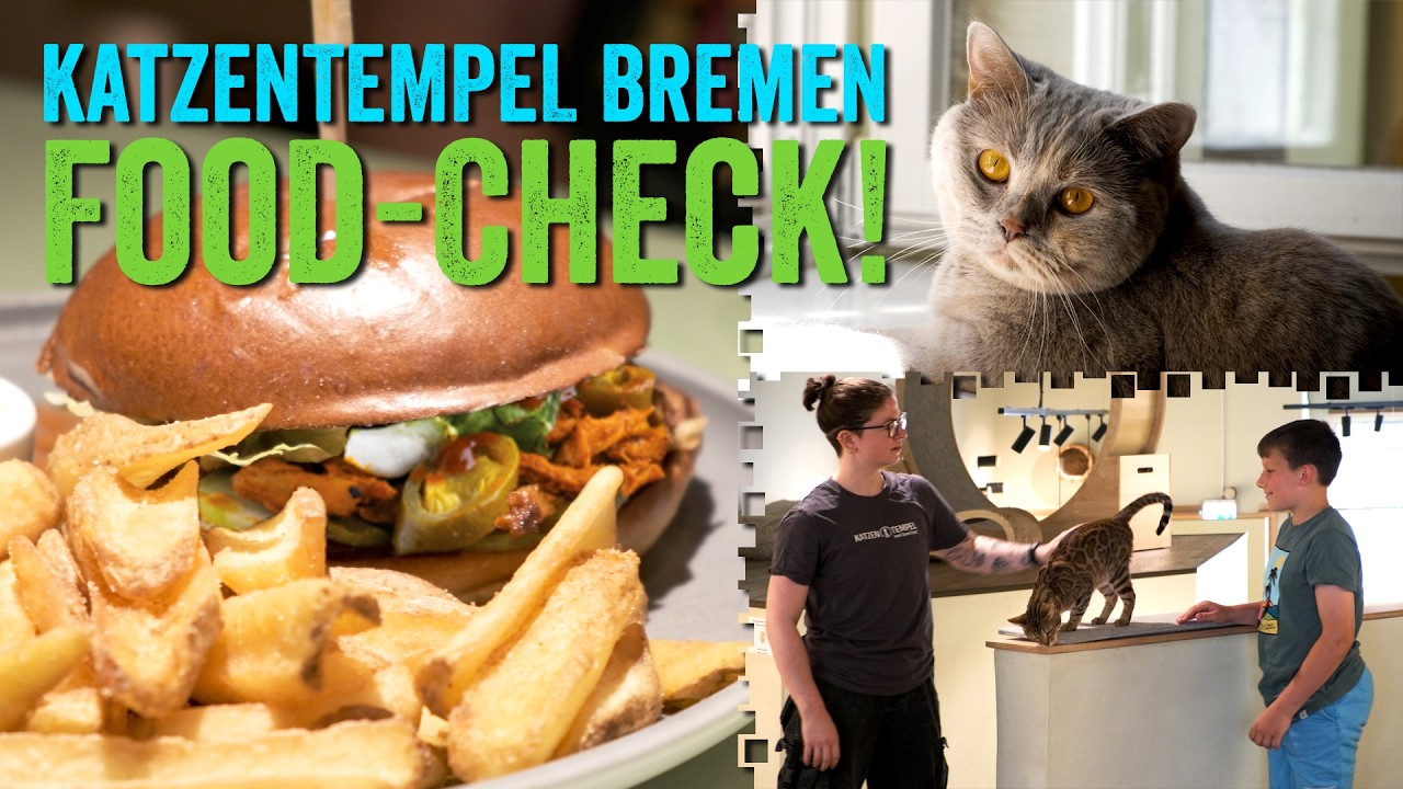 RESTAURANT-TEST: Katzentempel Bremen | Vegan: Burger, Bowls, Kuchen – vom Frühstück bis zum Dinner
