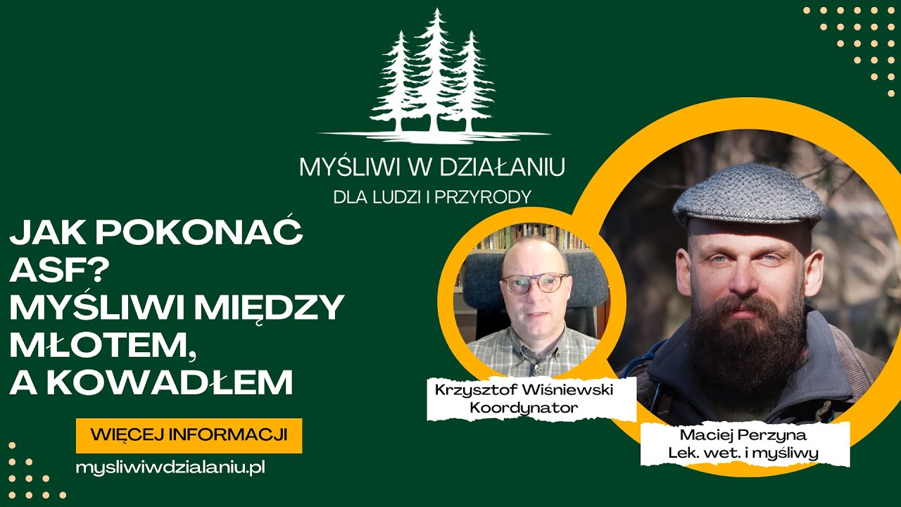 Jak pokonać Afrykański Pomór Świń (ASF) w Polsce? 