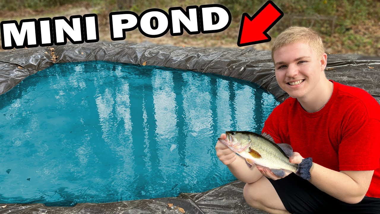 We Built a MINI POND! [STOCKED WITH BAIT-FISH]