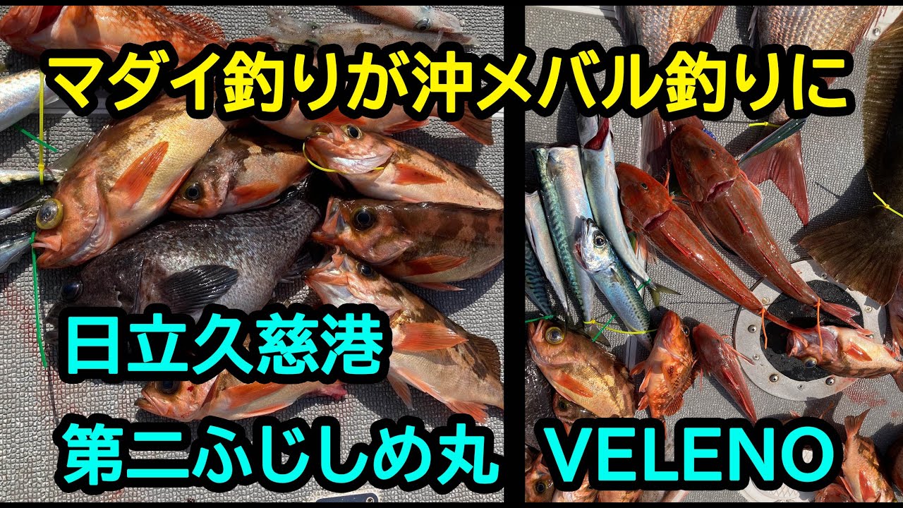 SLJマダイ釣りが沖メバル釣りになっちゃった【日立久慈港第二ふじしめ丸VELENO】