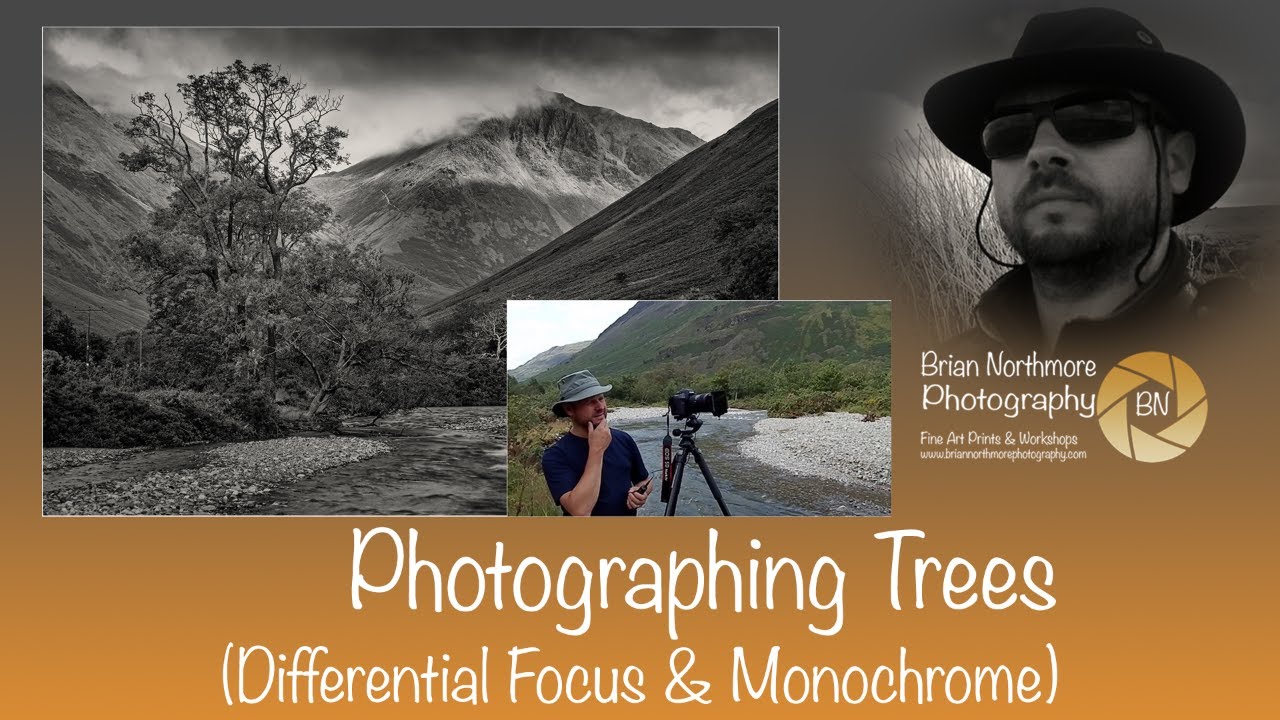 Photographing Trees (Monochrome & Differential Focus)