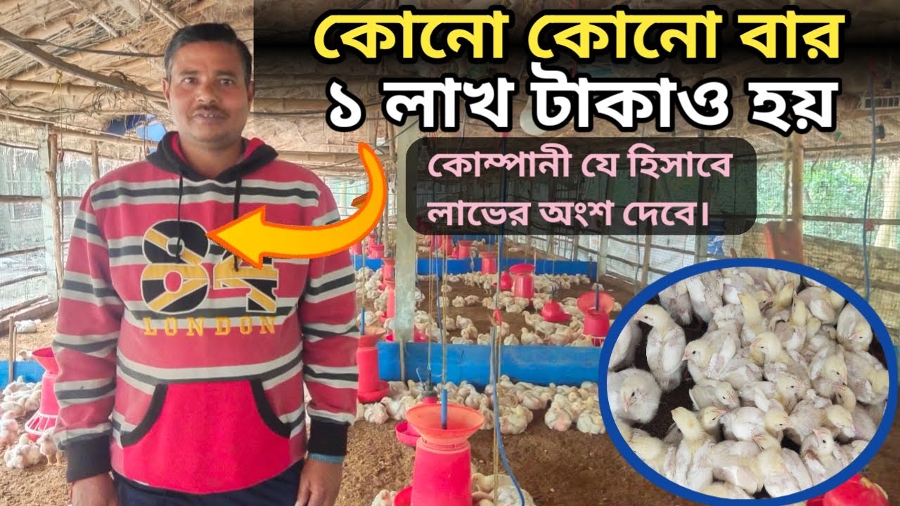 কোম্পানীর সাথে চুক্তি করে পোল্ট্রি/ব্রয়লার মুরগি পালনের পদ্ধতি।Contractual Poultry Farming Business