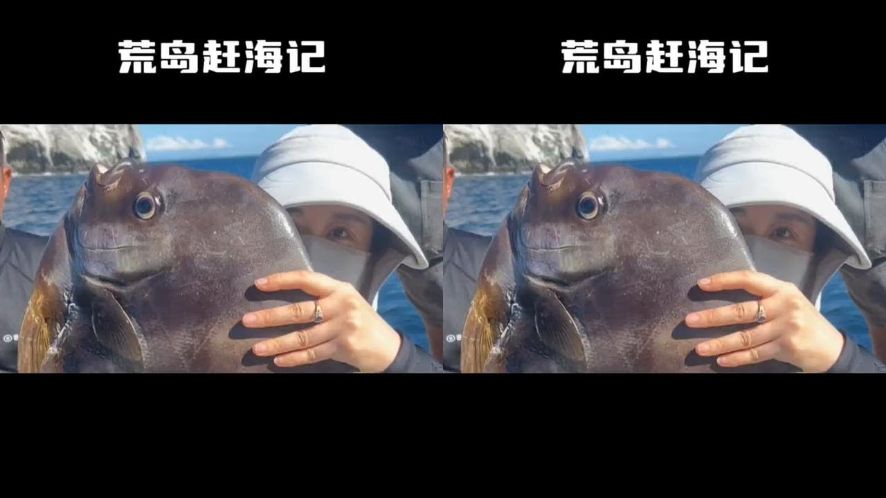 无人荒岛赶海记！没得澡洗也就罢了，海鲜还不能吃到爽吗？ #chillmore #且悠洁肤露 #赶海 #荒岛