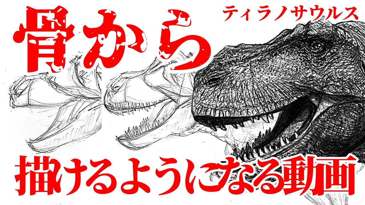 【恐竜の描き方】骨からティラノサウルスが描けるようになる動画｜恐竜イラスト入門