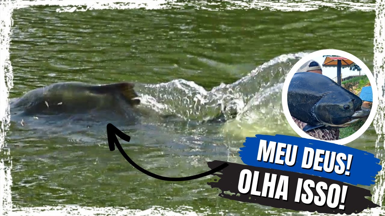 PEGA MUITO PEIXE GRANDE NESSE SISTEMA! / PESCARIA