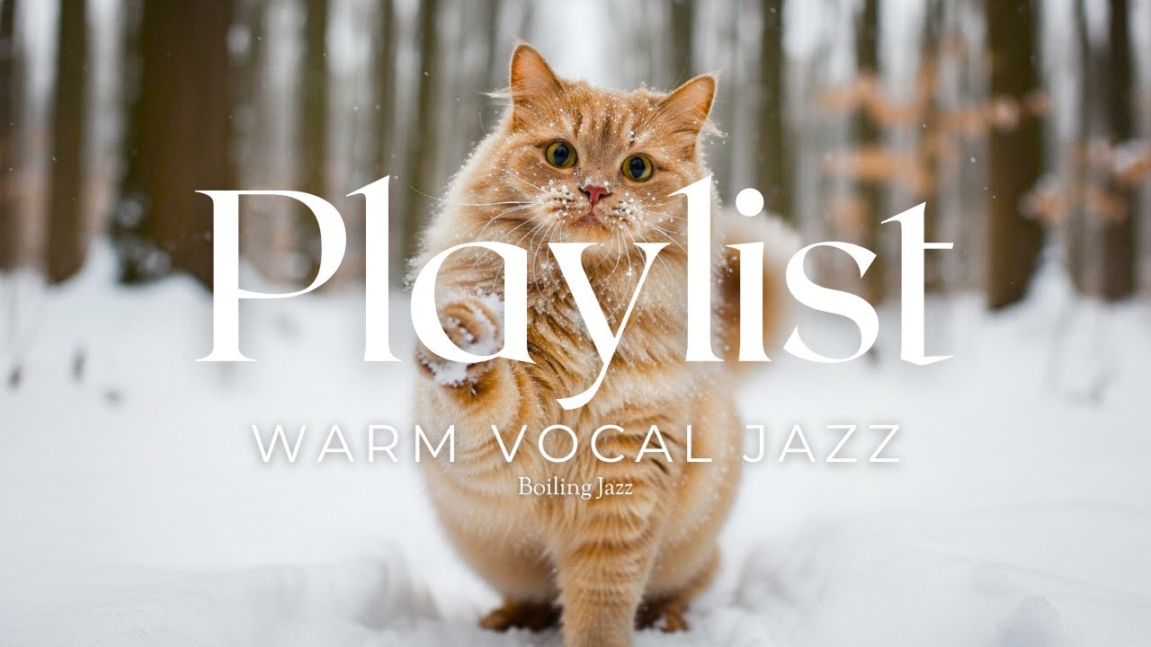 𝙿𝚕𝚊𝚢𝚕𝚒𝚜𝚝🎧Jazz Pop Vocal🎶추운날 가슴이 따뜻해지는 재즈팝 보컬