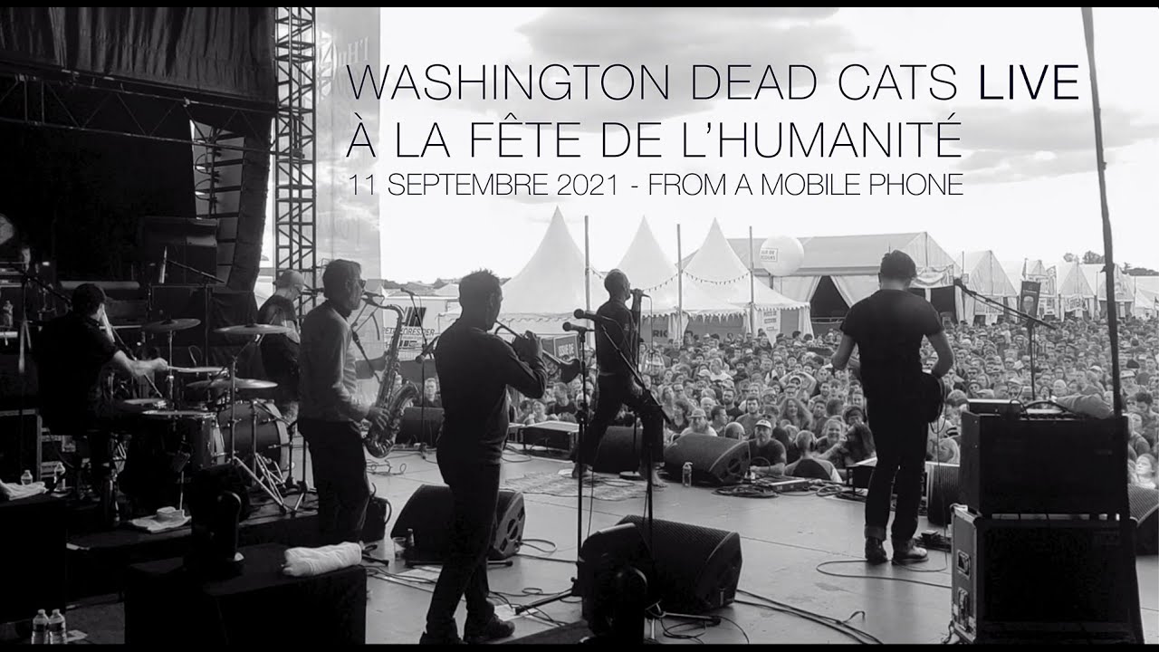 Washington Dead Cats live à la Fête de L'humanité 2021 - Memories are made of this