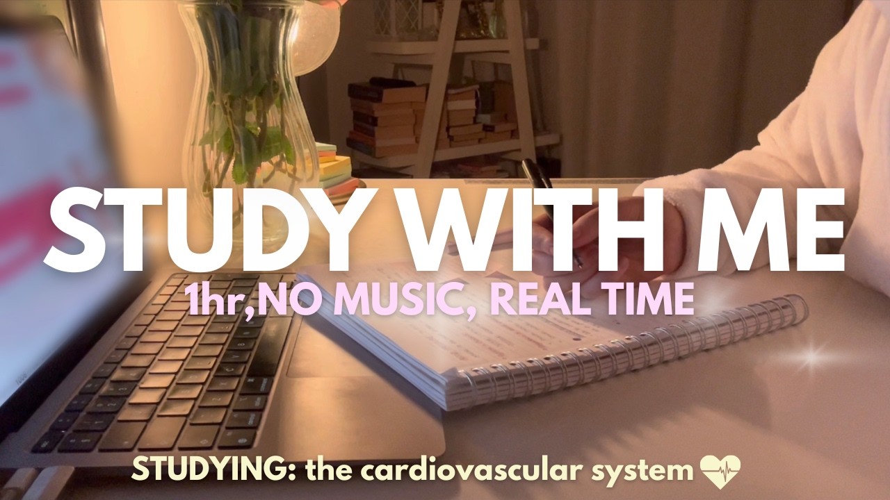 STUDY WITH ME || one hour, no music, background noise