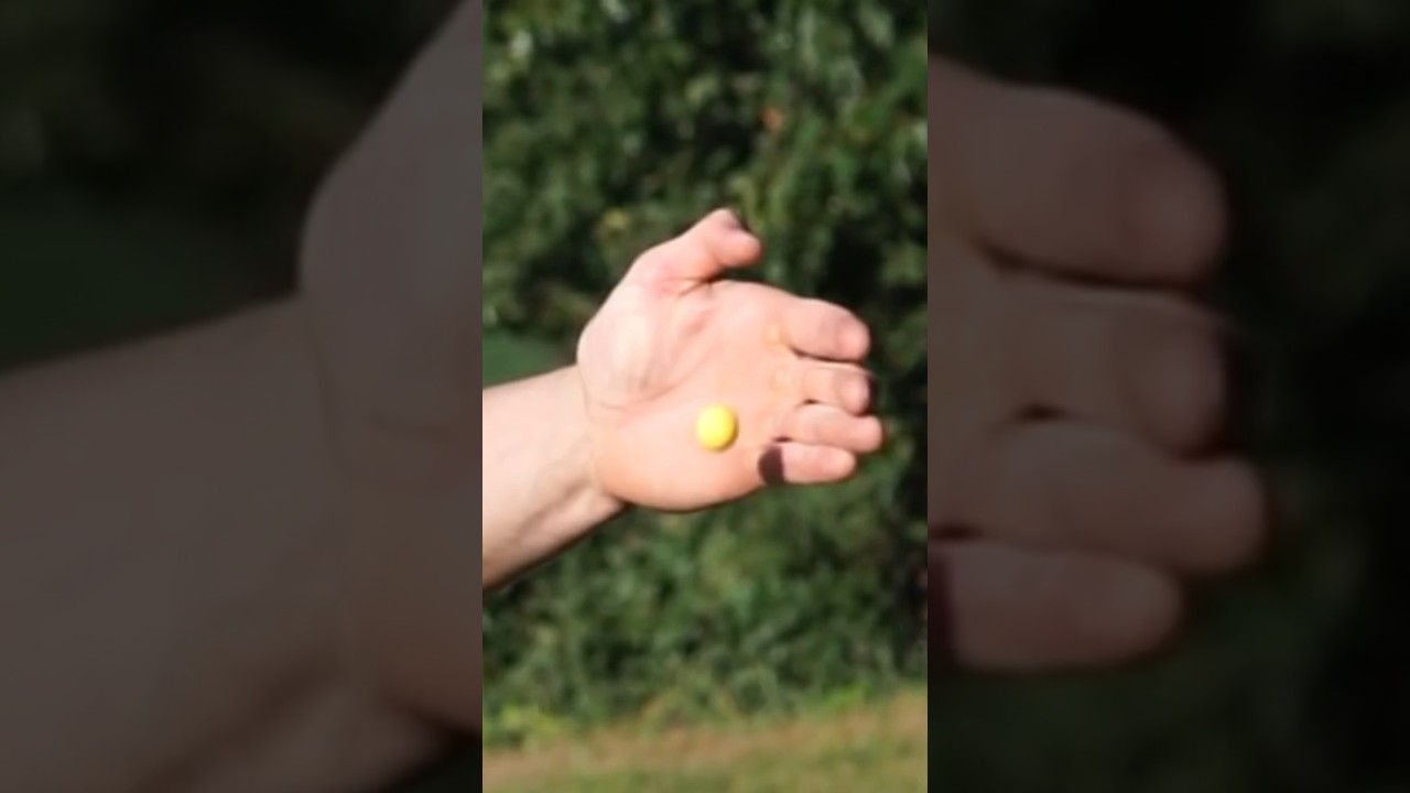 Catching Rubber Paintballs for Science&hellip; #funny #comedy #fail