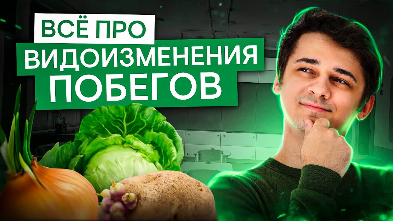 Все про видоизменения побегов | Биология ЕГЭ с Мишей Гис | 2025 | СМИТАП