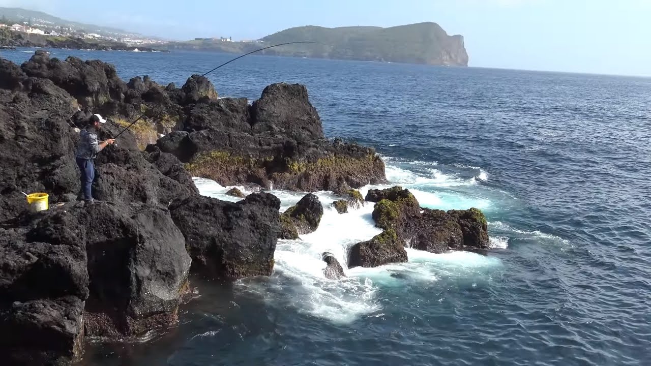 Sargo rock fishing / Pesca ao sargo ilha Terceira   Diplodus sargus