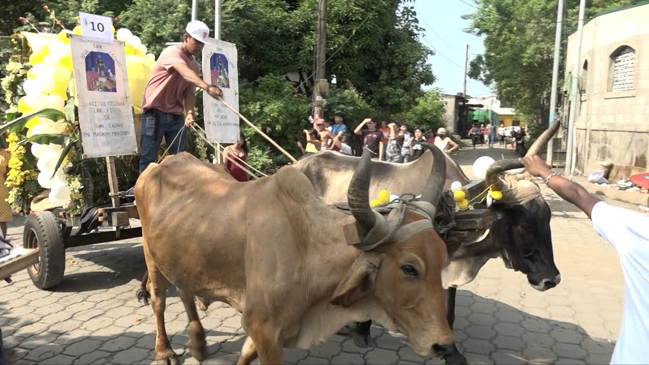 Masaya celebra el Toro Venado de la tradicionalista Martha Toribio