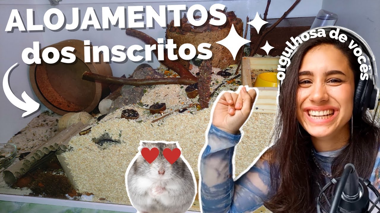 Reagindo ALOJAMENTOS DOS MEUS INSCRITOS #9 | Especial 10K! 🥳🎉