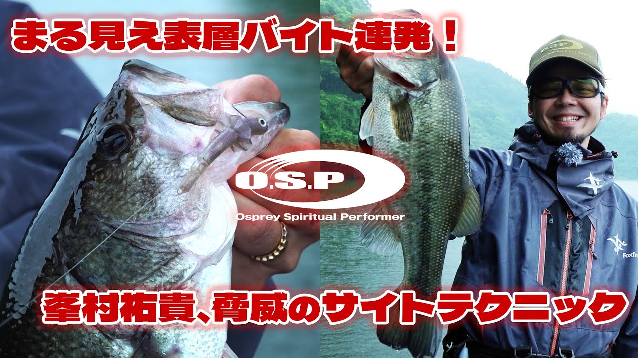 【まる見え表層バイト】O.S.P峯村祐貴、脅威のサイトテクニックでバスを狙い撃ち！エリマキシャッド大活躍＆新製品ウィスプル紹介【津久井湖】