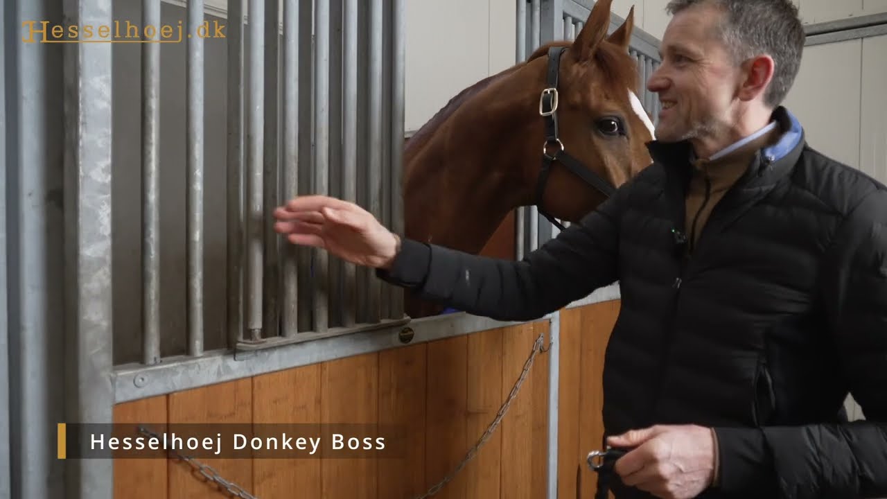 Hesselhoej Donkey Boss