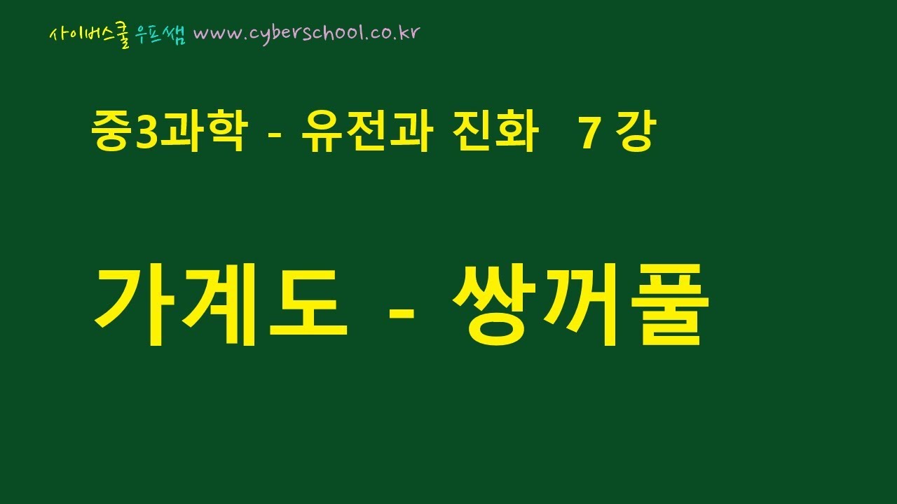 [우프 중3과학] 생식과 유전 16강 - 가계도 쌍꺼풀