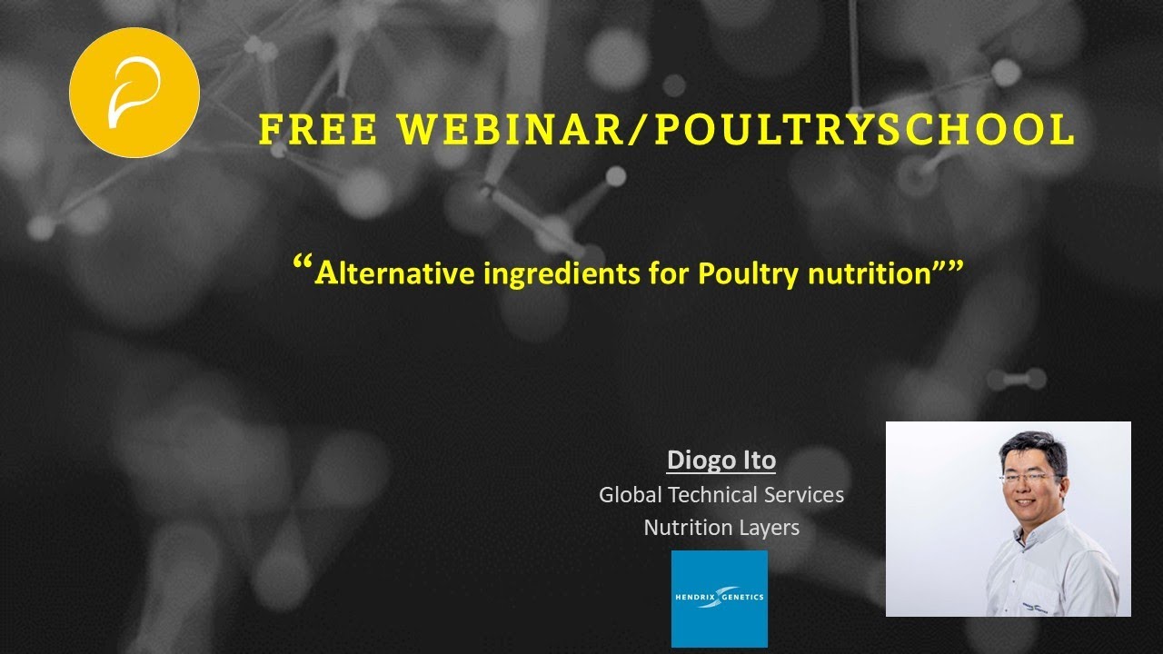 Alternative Ingredients For Poultry Nutrition - Diogo Ito