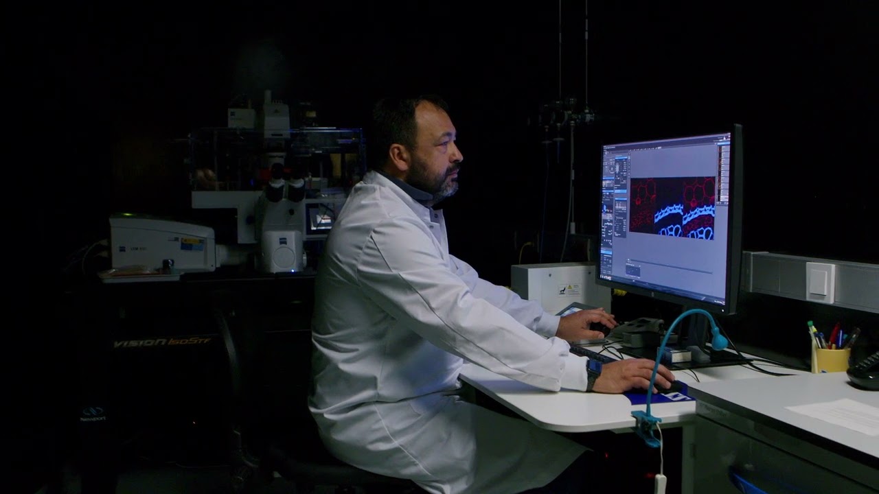 Ciencia abierta 24 horas - Microscop&iacute;a t&eacute;cnica confocal
