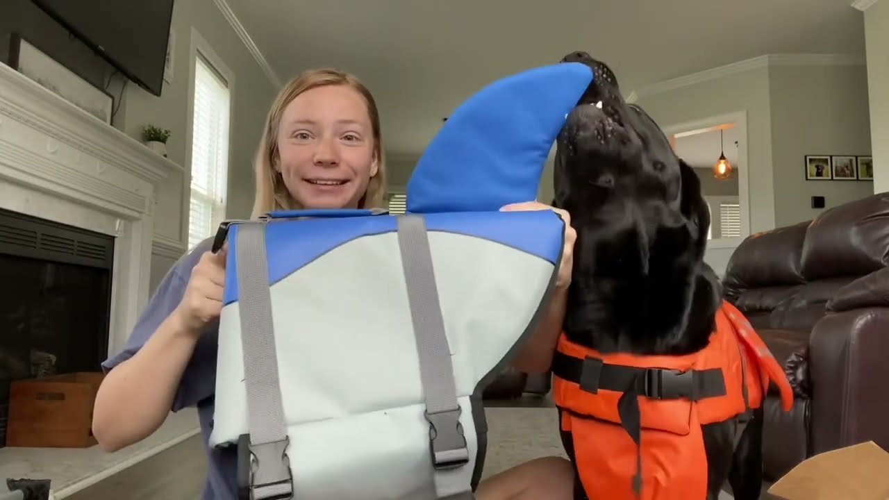 EMUST Cute shark fin dog swimming life jacket now in Hot Order!