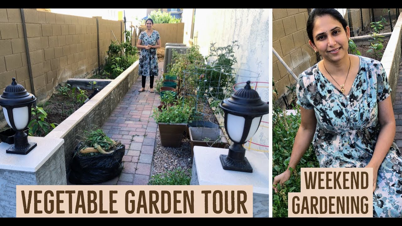 మా వెజిటబుల్ గార్డెన్ టూర్| Vegetable Garden Tour | Weekend Gardening | Garden Layout Ideas & Tips |