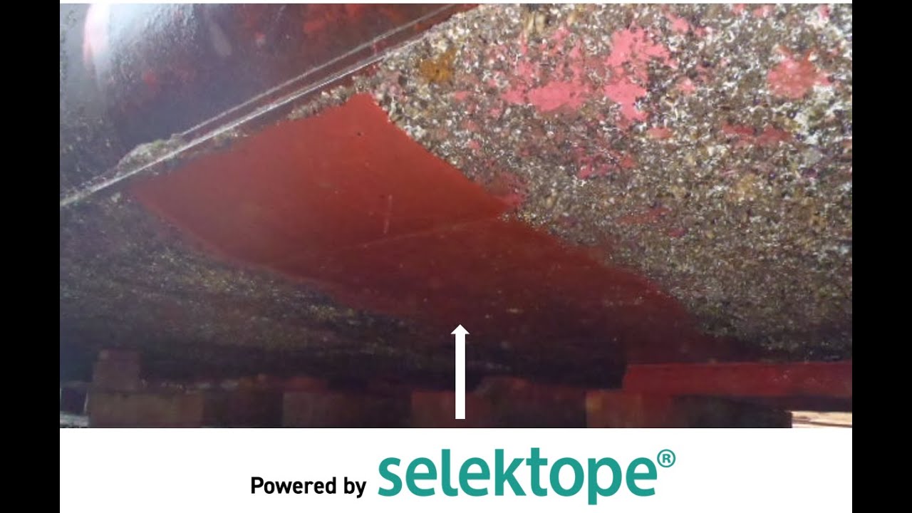The true scale of the barnacle fouling problem for the shipping industry - Dr. Markus Hoffmann