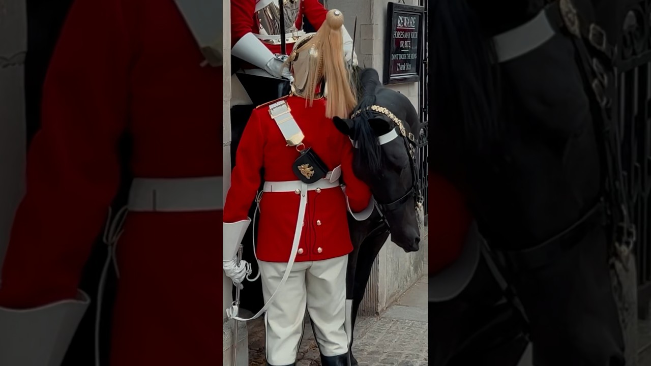 HORSE HUGS 7FT GUARD ✨💂🐎 | Horse Guards, Royal guard, Kings Guard, Horse, London, 2024