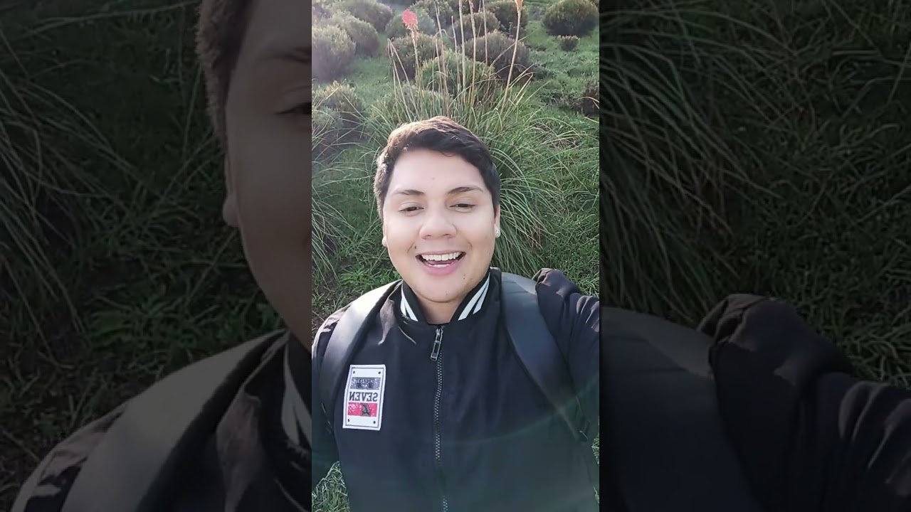 Visitando el Quindío 🇨🇴 ☕ Parte 1 Valle del cocora #videovlogs #vlogs #quindio 