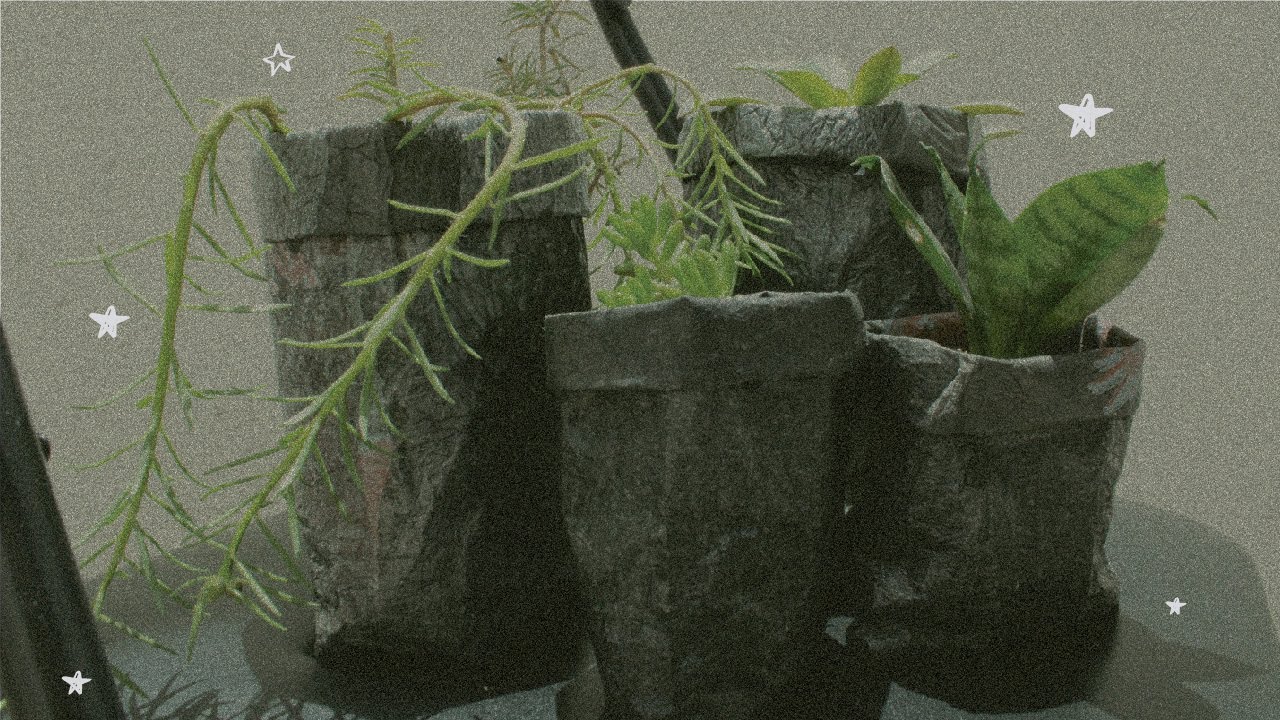 recicla bolsas de plástico y hazlas macetas ♡ Mariajóse