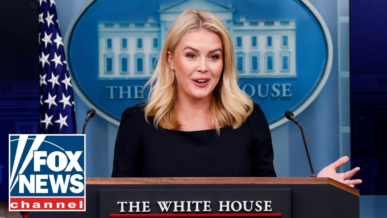 Karoline Leavitt torches 'despicable' Democrat and media outrage over deported MS-13 gang member