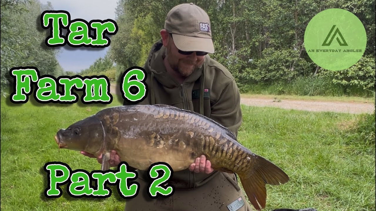 Linear Fisheries - Tar Farm 6 Part 2