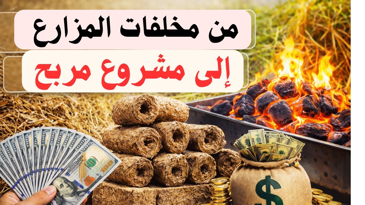 من مخلفات تُحرق إلى مشروع مربح | استثمار المخلفات الزراعية في التدفئة والشواء