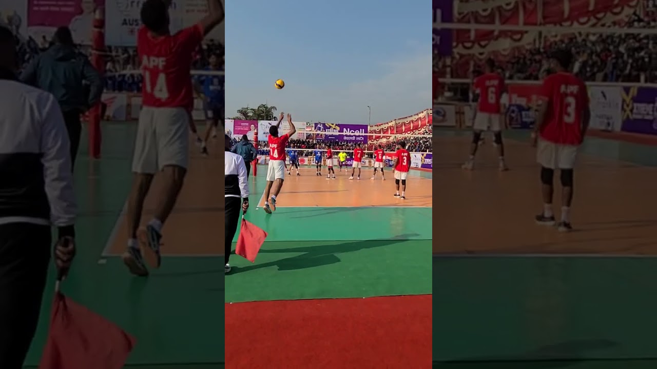 tiger cup volleyball gandaki vs apf