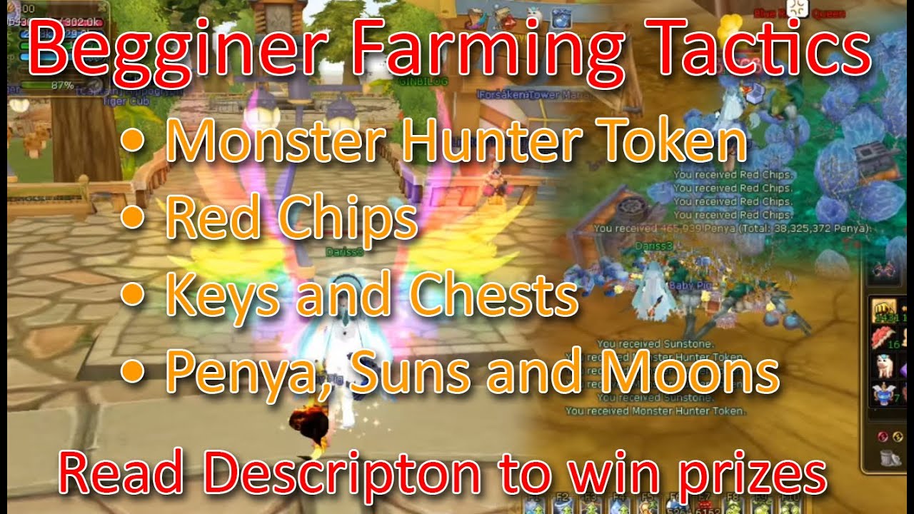 Insanity Flyff - Beginner Farming Tactics