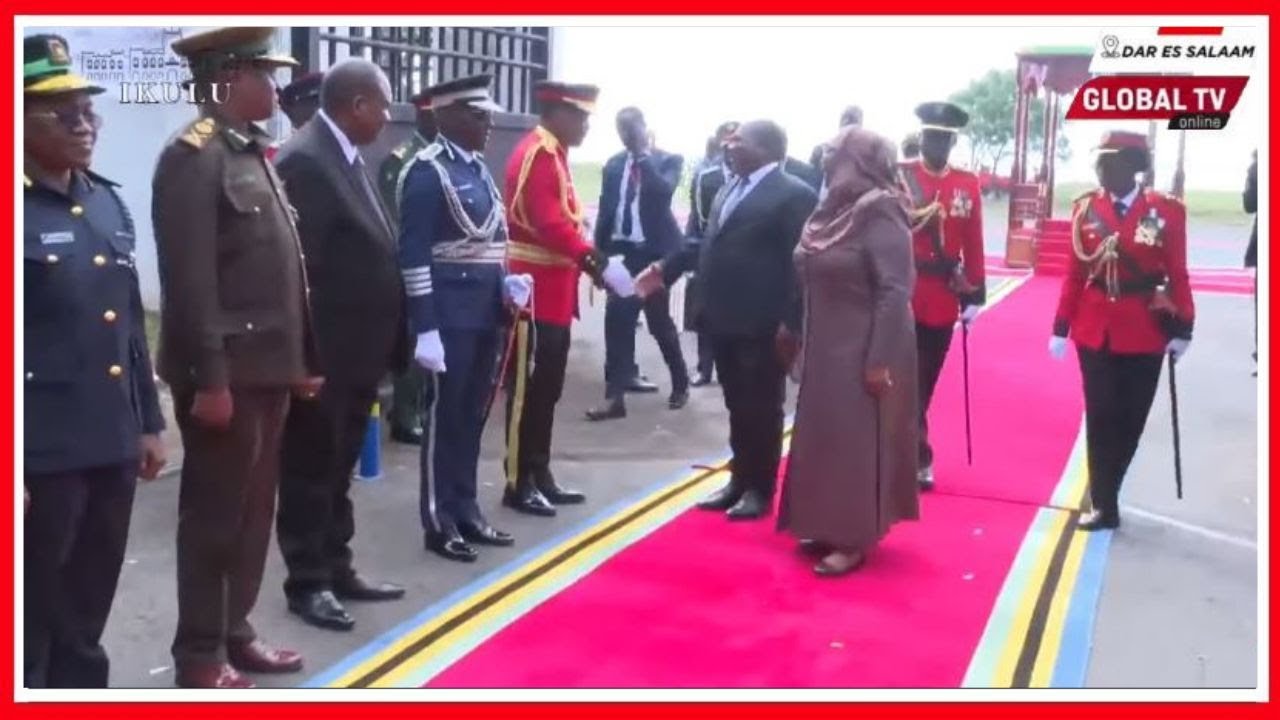🔴#Live: RAIS SAMIA AMPOKEA RAIS wa MSUMBIJI NYUSI IKULU ya DAR - TAZAMA ULINZI ULIVYOTANDA IKULU...
