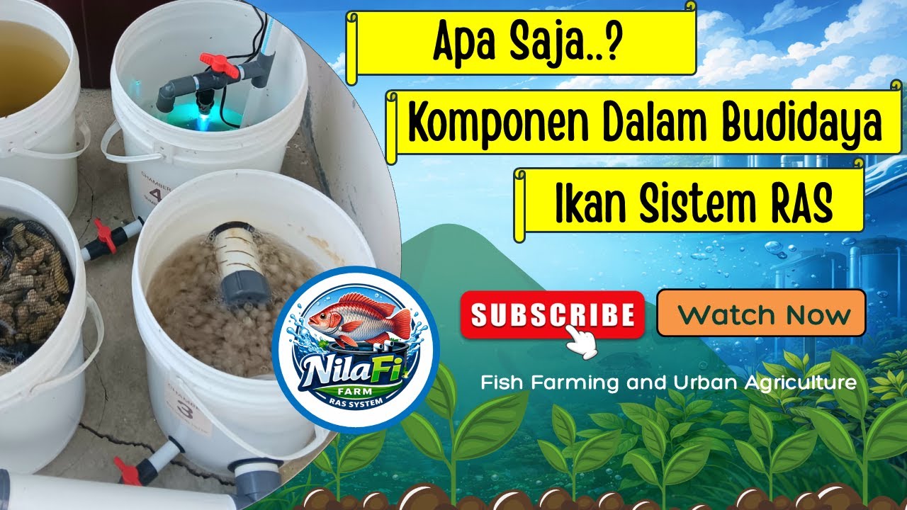 Apa Saja Komponen Dalam Budidaya Ikan Sistem RAS?