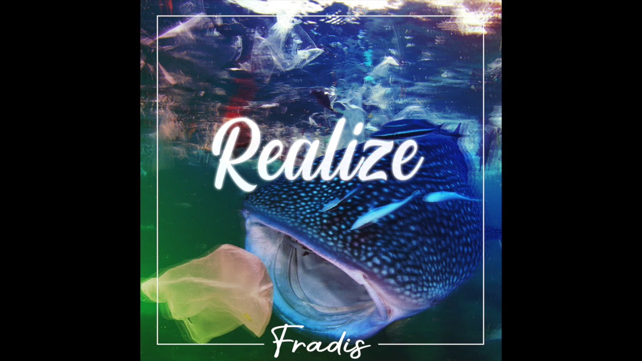 FRADIS Live - REALIZE