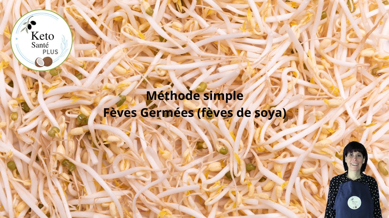 Comment faire des fèves MUNG germées (fèves de soya) Germination SIMPLE et RAPIDE / haricot MUNGO /