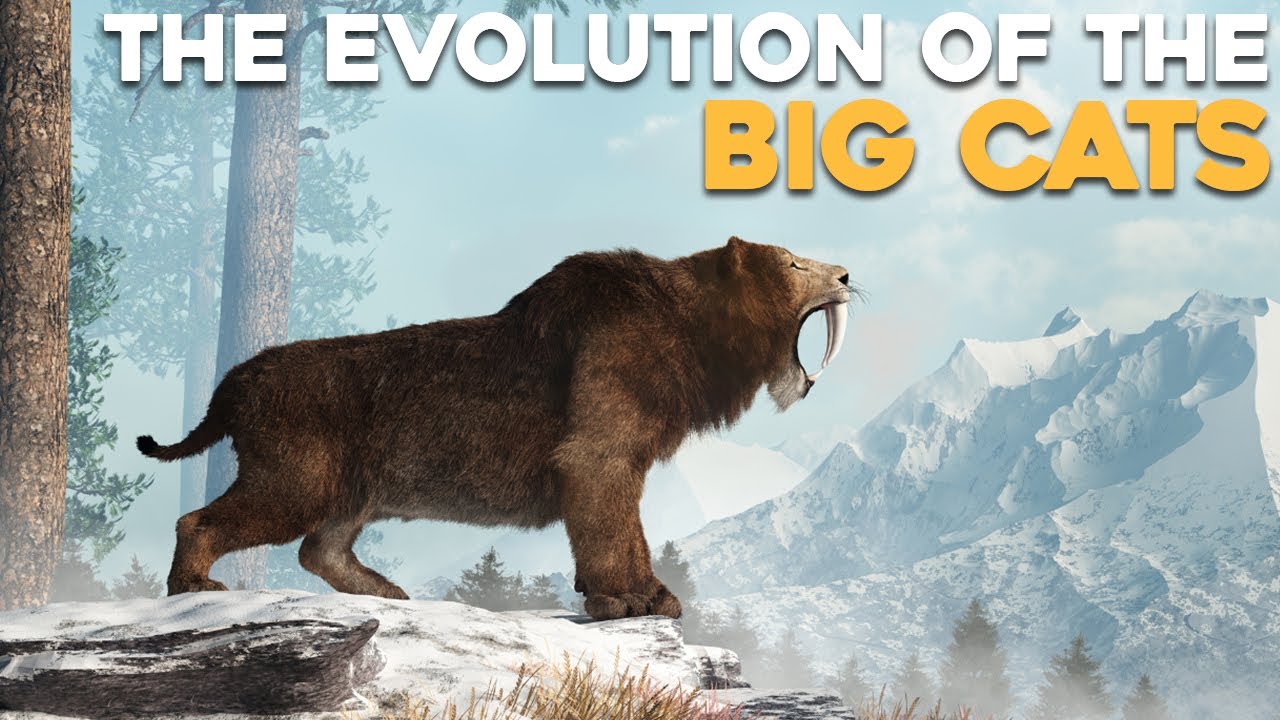 Каково происхождение больших кошек?