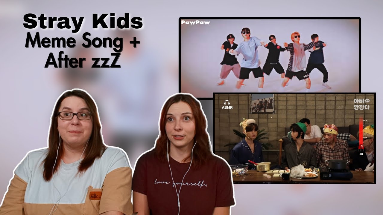 SO I CREATED A SONG OUT OF STRAY KIDS MEMES + Stray Kids admit they're Crazy [After_zzZ] Reaction