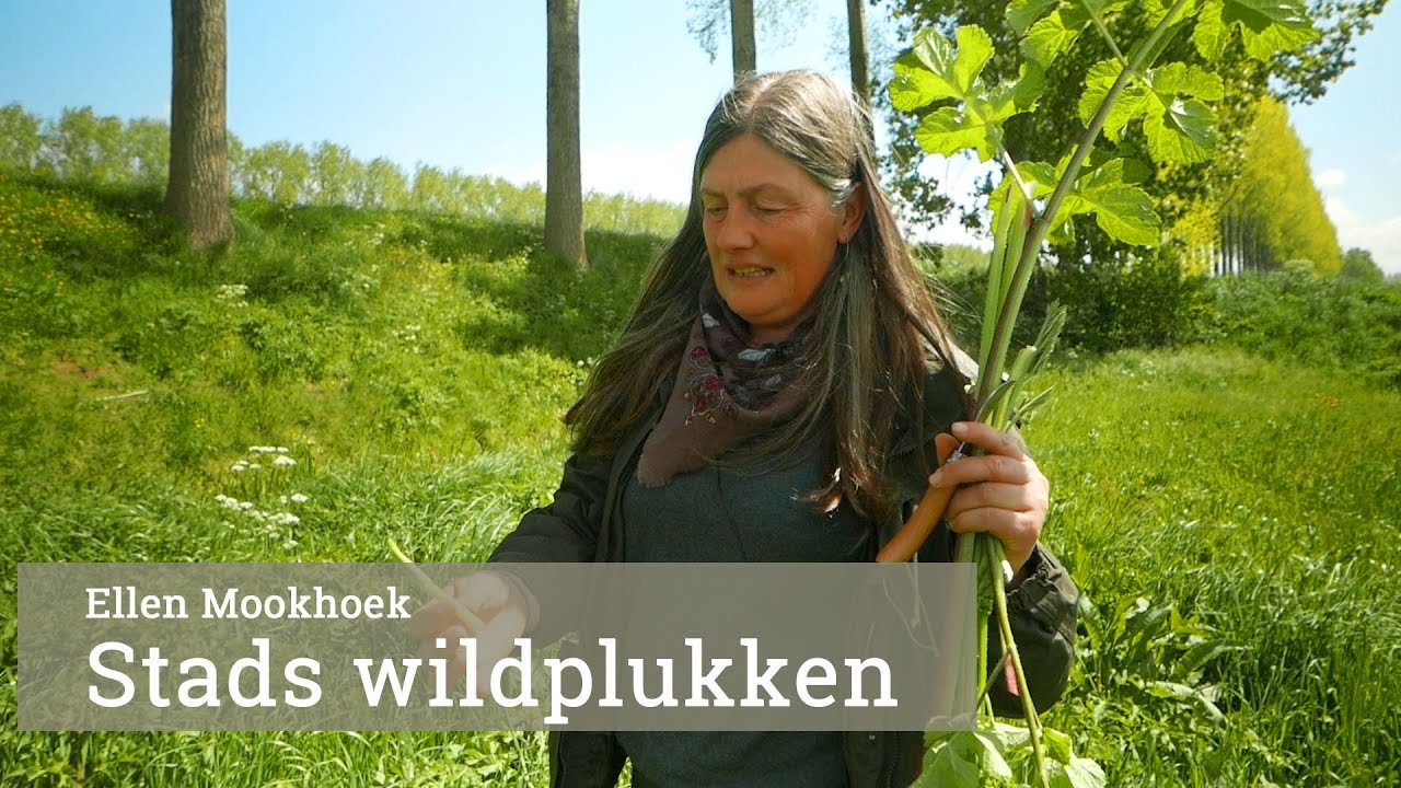 Wildplukken  met Ellen Mookhoek