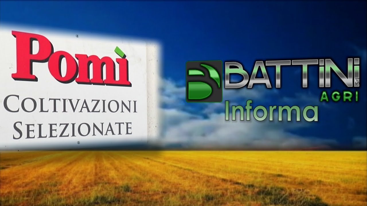 Battini Agri Informa 11/2015  Pomì Ceresara ROM EW Gianfranco Rosa